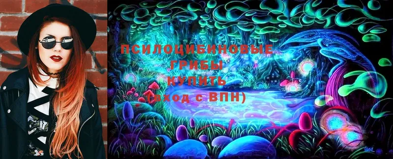 площадка формула  магазин продажи   Кореновск  Псилоцибиновые грибы прущие грибы 